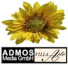 ADMOS Media GmbH